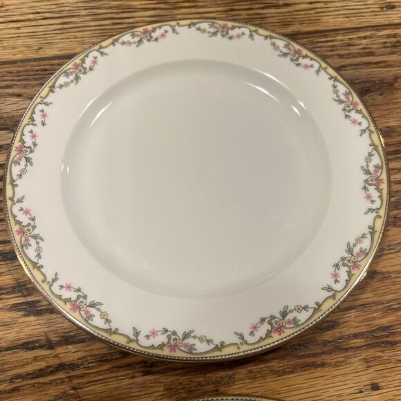 Vignaud VIG86 Limoges Set of TWO Salad Plates, 7 1/2" Hess Bros. PRISTINE! - Picture 3 of 6